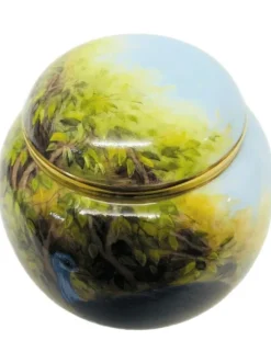 Hot Steve Smith Cassowary Lidded Vase - Ltd Ed 5 Pottery-Porcelain-China