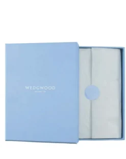 Fashion Wedgwood 2024 Christmas Cherub Remiel Ornament Christmas